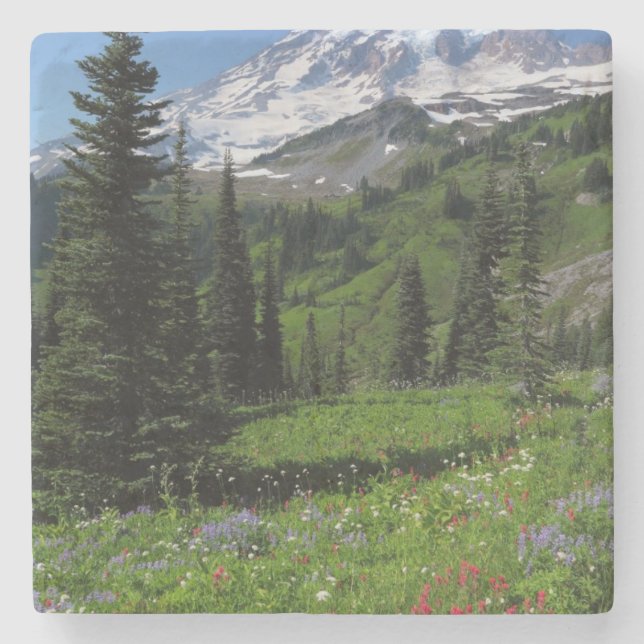 Porta-copo De Pedra Wildflowers no Monte Rainier (Frente)
