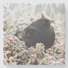 Porta-copo De Pedra Winter Blackbird
