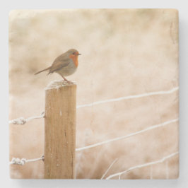 Porta-copo De Pedra Winter Robin Redbreast