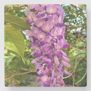 Porta-copo De Pedra Wisteria Bloom