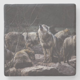 Porta-copo De Pedra Wolf Pack