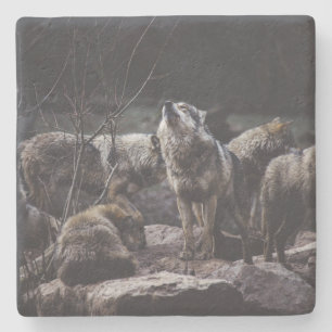 Porta-copo De Pedra Wolf Pack