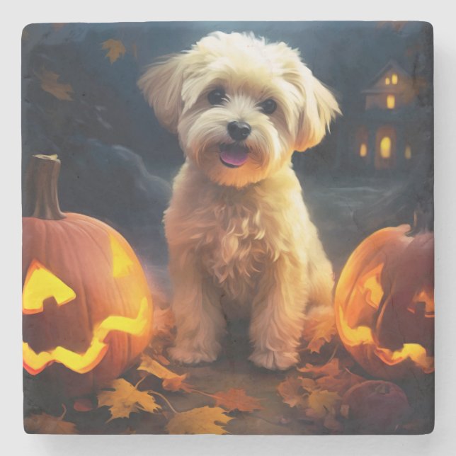 Porta-copo De Pedra Yorkipoo do Halloween Com Pumpkins Assustado (Frente)