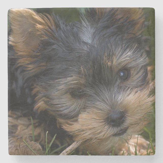 Porta-copo De Pedra Yorkshire (Frente)