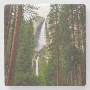 Porta-copo De Pedra Yosemite Falls através da Floresta