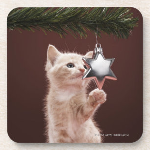 Porta-copo Decoração pawing do Natal do gatinho na árvore