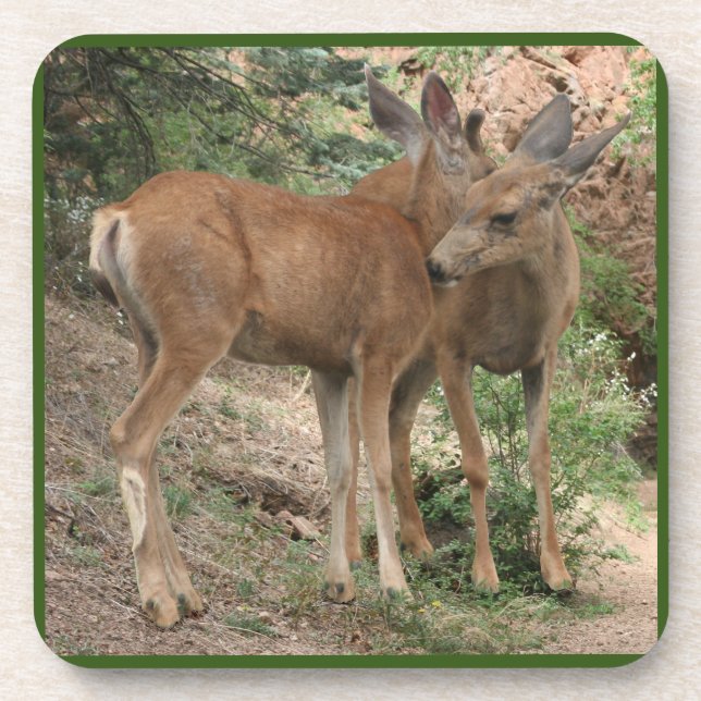 Porta-copo Deer Hugging (Frente)