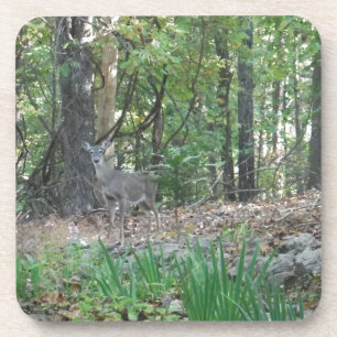 Porta-copo Deer on the Edge of the Woods