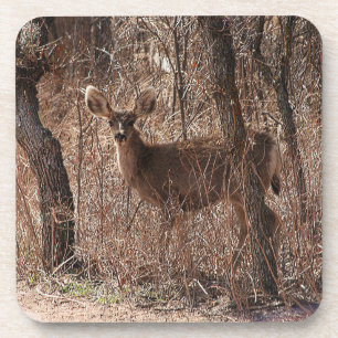 Porta-copo Deer Stare