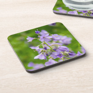 Porta-copo Delicadas flores azuis em um campo verde na primav