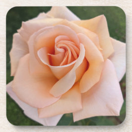 Porta-copo Delicate Orange Rosa Bloom Floral