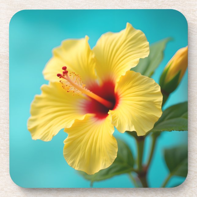 Porta-copo Delicate Yellow Hibiscus (Frente)