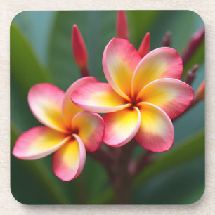 Porta-copo Delícia de cores tripla anã Frangipani
