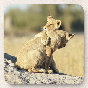 Porta-copo Delta de Okavango, Botswana 2