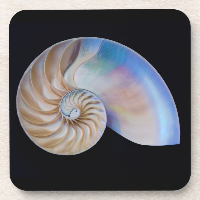 Porta-copo Dentro O Nautilus (Frente)