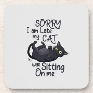 Porta-copo Desculpe o atraso - Regras de Gato!