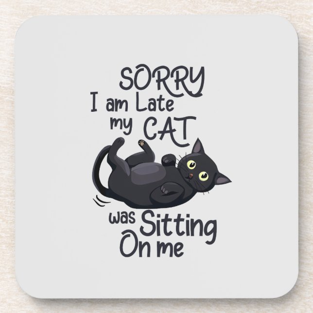 Porta-copo Desculpe o atraso - Regras de Gato! (Frente)