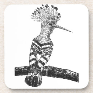 Porta-copo Desenho de Hoopoe