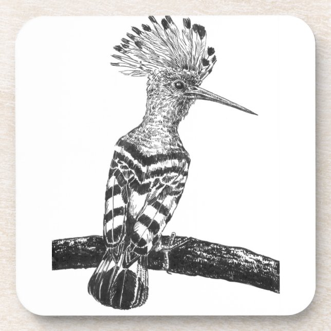 Porta-copo Desenho de Hoopoe (Frente)