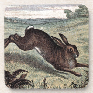 Porta-copo Desenho do vintage: Lebre Running em um campo