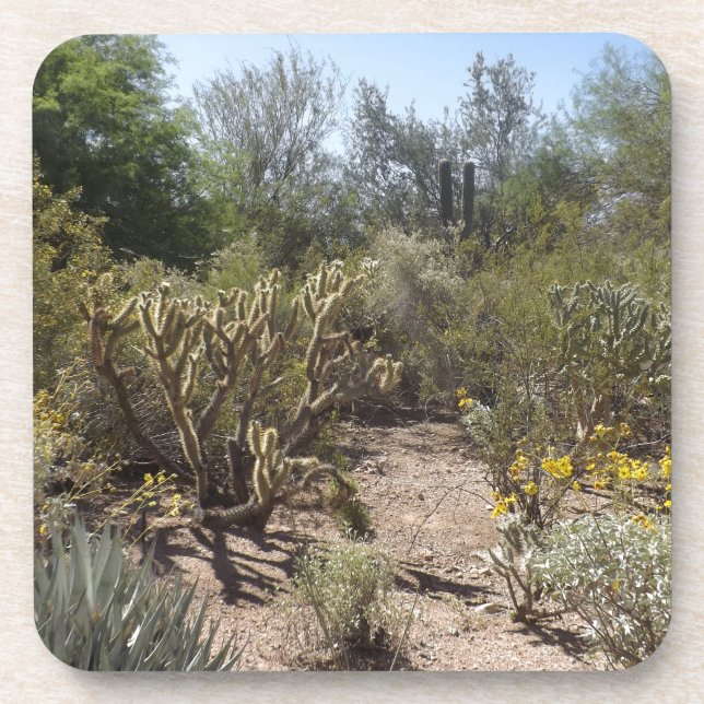 Porta-copo Deserto (Frente)