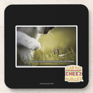 Porta-copo Desgraça em cima do senhor mesmo