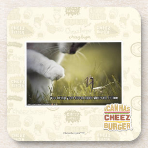 Porta-copo Desgraça em cima do senhor mesmo