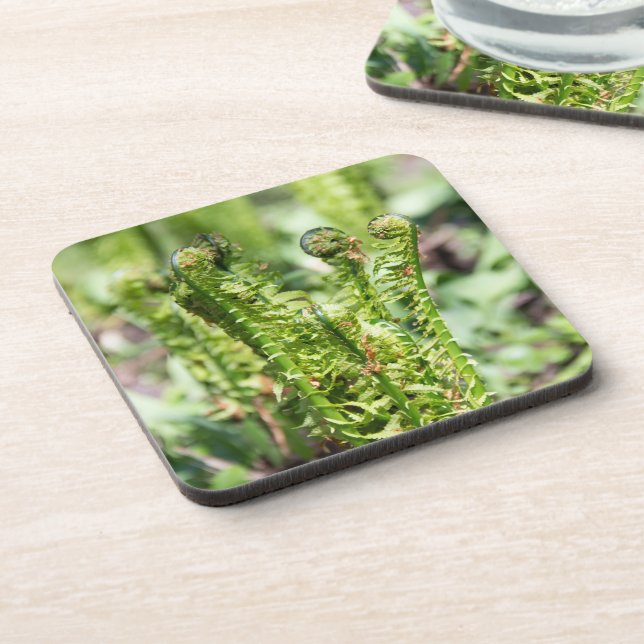 Porta-copo Despertar jovem samambaia no jardim (Left Side)