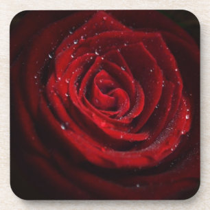Porta-copo Destino cor-de-rosa do amor da paz da flor do test