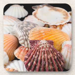 Porta-copo Detalhe Das Conchas De Todo O Mundo 2