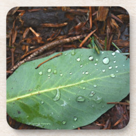 Porta-copo Dew Dappled Leaf