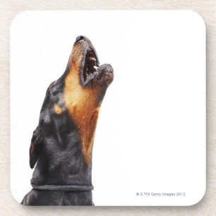 Porta-copo Doberman que urra