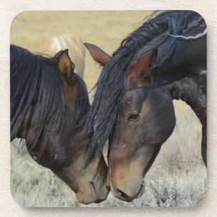 Porta-copo Dois Cavalos Selvagens Marrons Nuzzling