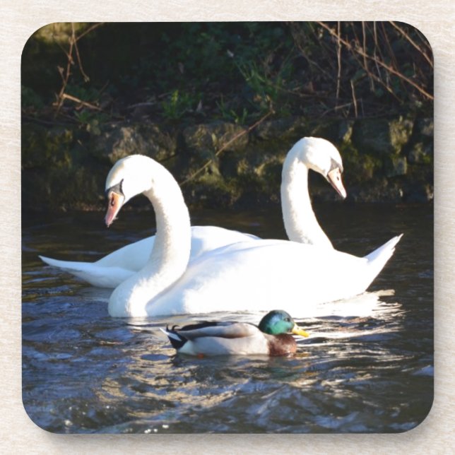 Porta-copo Dois Cisnes E Um Pato (Frente)
