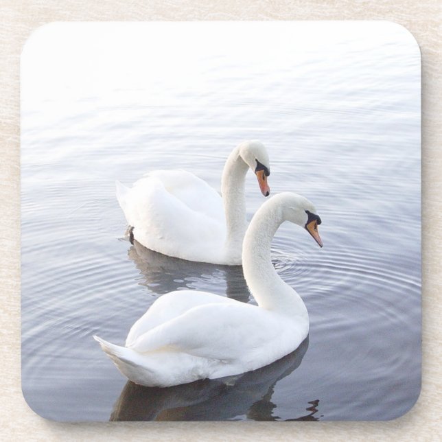 Porta-copo Dois Cisnes Nadando no Lago Tranquilo (Frente)