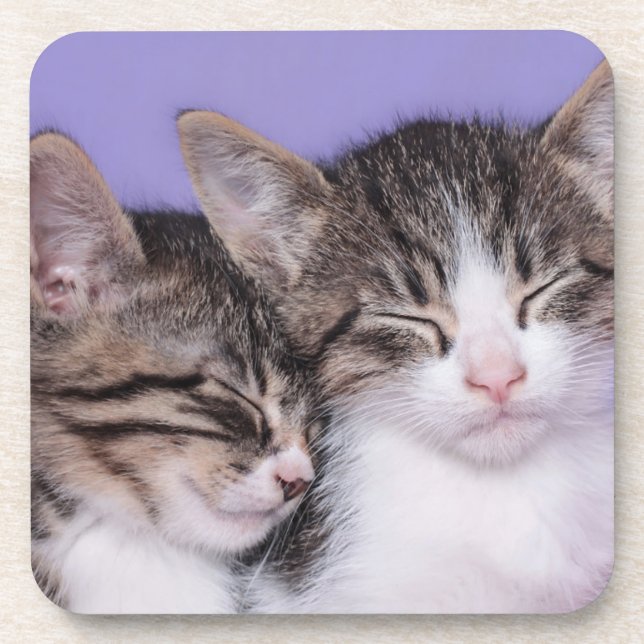 Porta-copo Dois gatinhos bonitos que Napping (Frente)