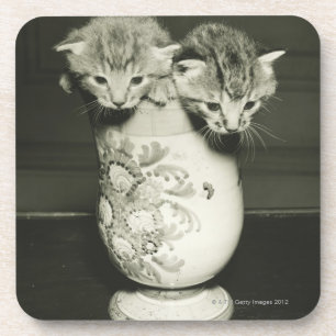 Porta-copo Dois gatinhos que escondem no vaso, (B&W)