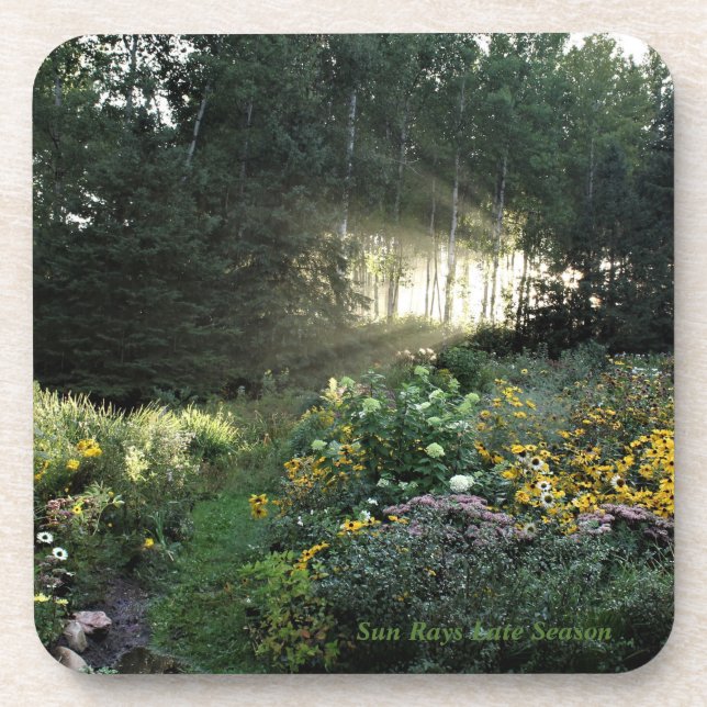 Porta-copo Dos Sunrays estação tarde - (Frente)