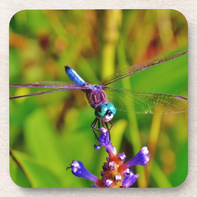 Porta-copo Dragonfly e flor (Frente)