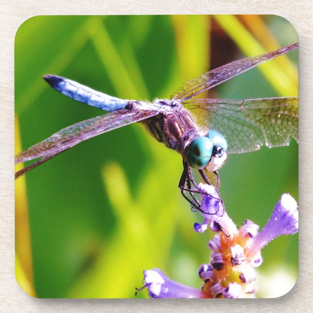 Porta-copo Dragonfly Teal & Purple (Frente)
