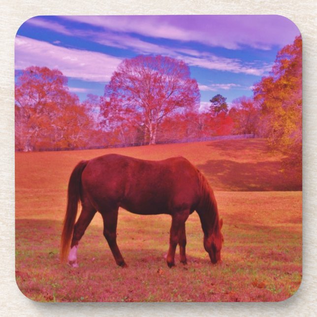 PORTA-COPO DSCF0536.JPG (Frente)