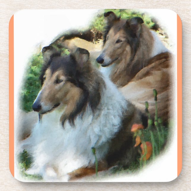 Porta-copo Duas Collies Sable Rough (Frente)