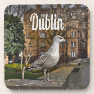 Porta-copo Dublin, Irlanda, Pássaro em Brick Wall