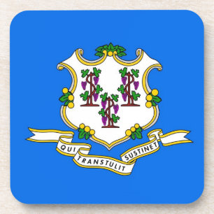 Porta-copo Duro de plástico com bandeira de Connecticut, EUA