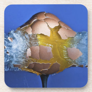 Porta-copo Eggceptional