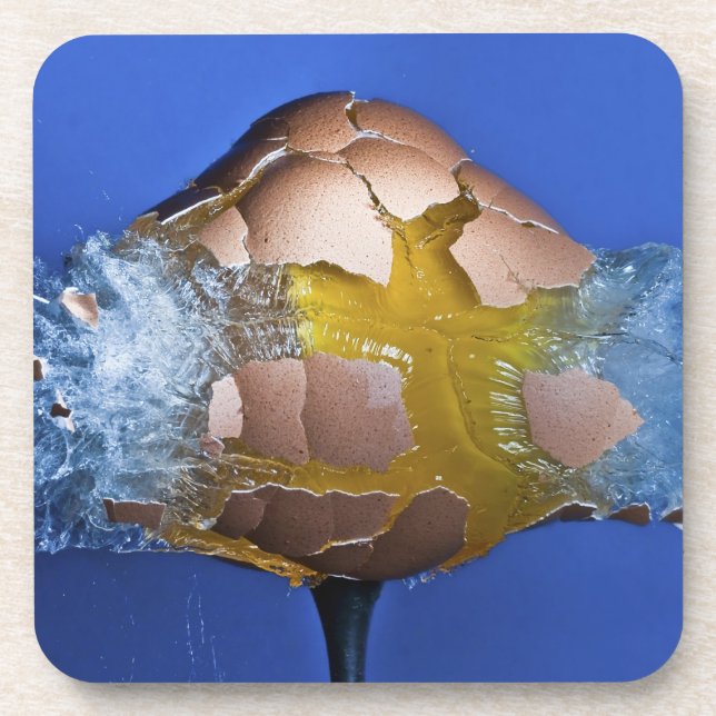 Porta-copo Eggceptional (Frente)