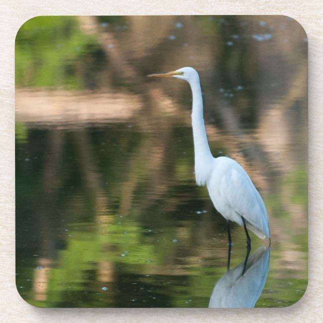 Porta-copo Egret Branco do excelente (Frente)