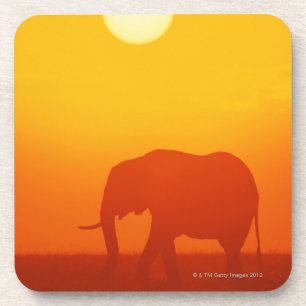 Porta-copo Elefante africano que anda no por do sol, Kenya