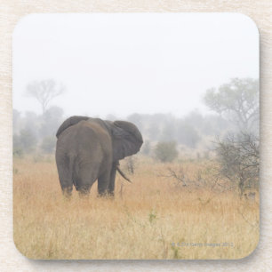 Porta-copo Elefante na névoa do amanhecer, nacional de Kruge