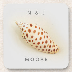 Porta-copo Elegante Tropical Junonia Florida Beach Shell Name